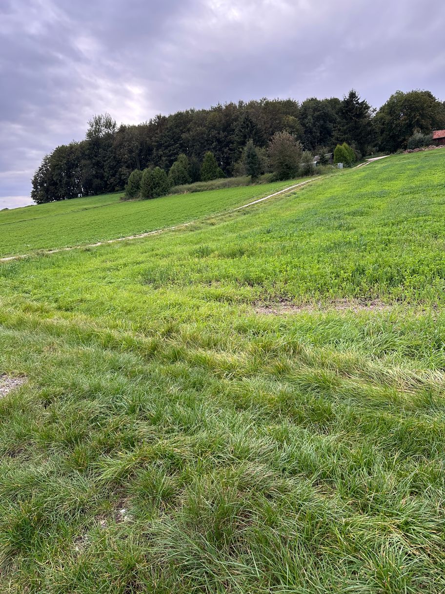Gras- und Feldweg nahe des Oberegger Stausees