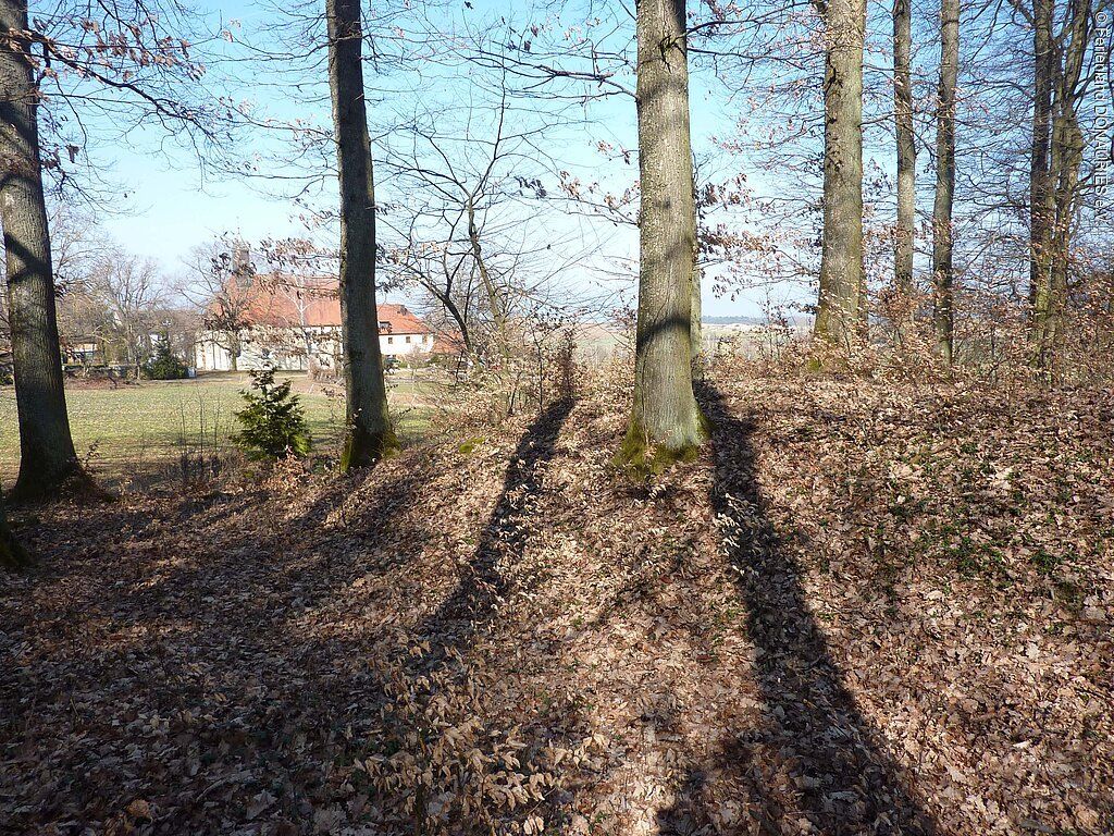 Titelbild