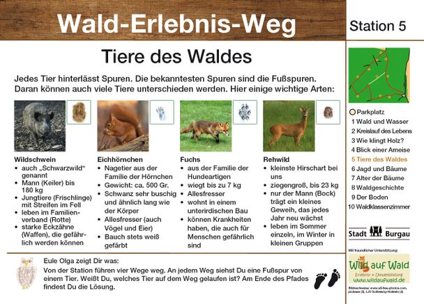 waldlehrpfadbmp