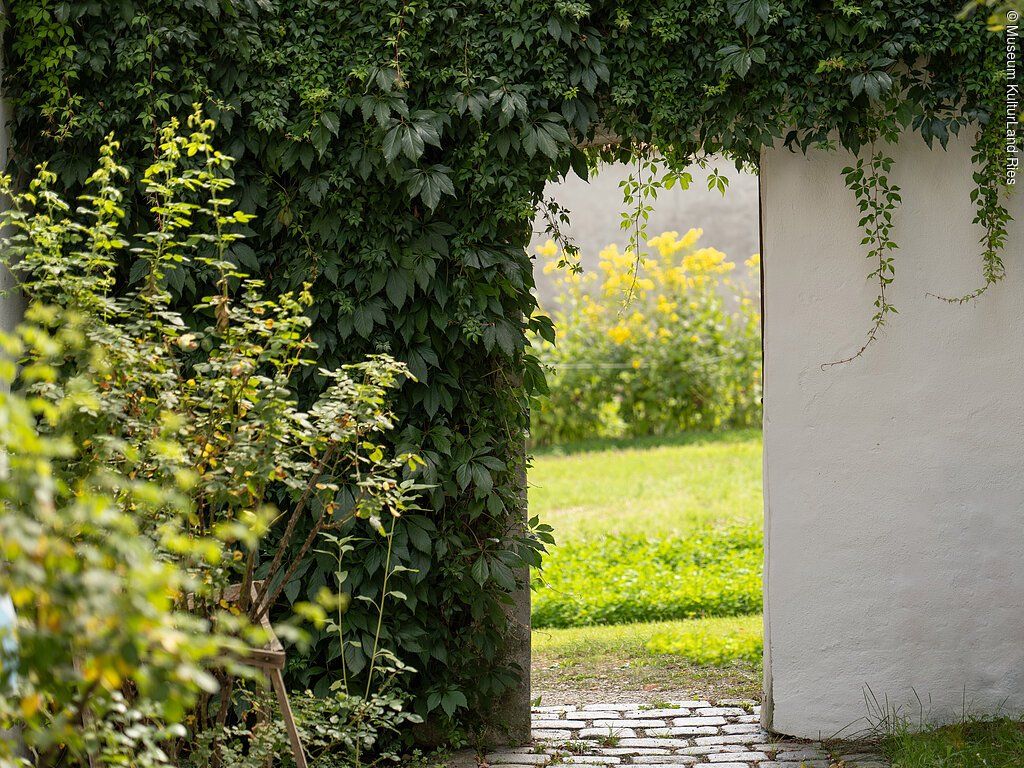 Öffentliche Führung | Von alten Sorten und Honigbienen