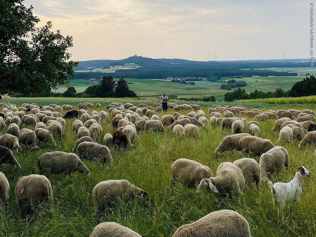 Sinnespfad zwischen Wald & Wasser