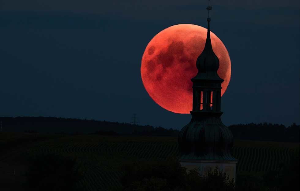 Und raus bist du - Das Kriminal Dinner