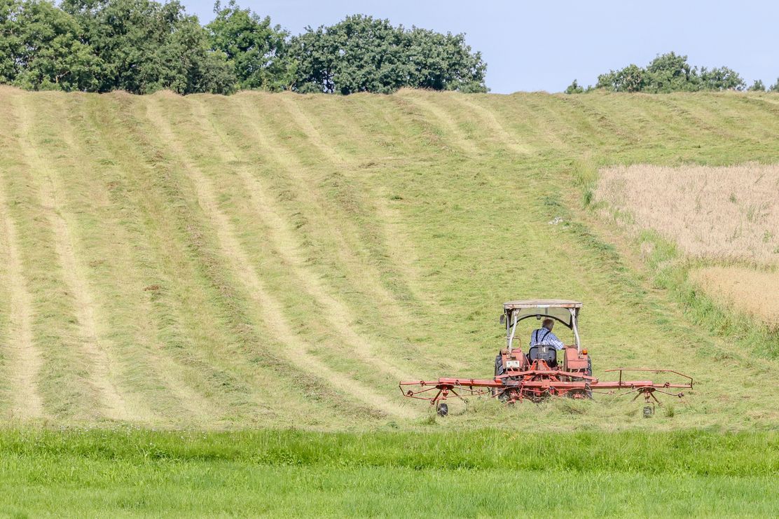 Landwirtschaft, Feld, Natur, Ernte, Maht_Gessertshausen_Julia Pietsch.jpg