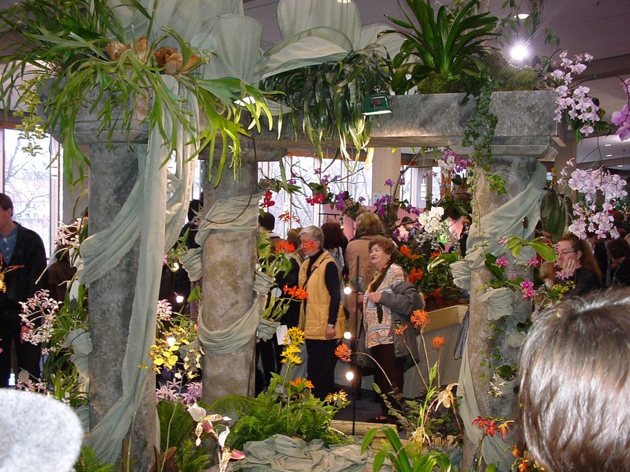 Neu-Ulmer Orchideentage