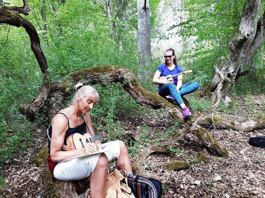 18223571_b-zentrum-blossenau-uke-wanderung.jpg