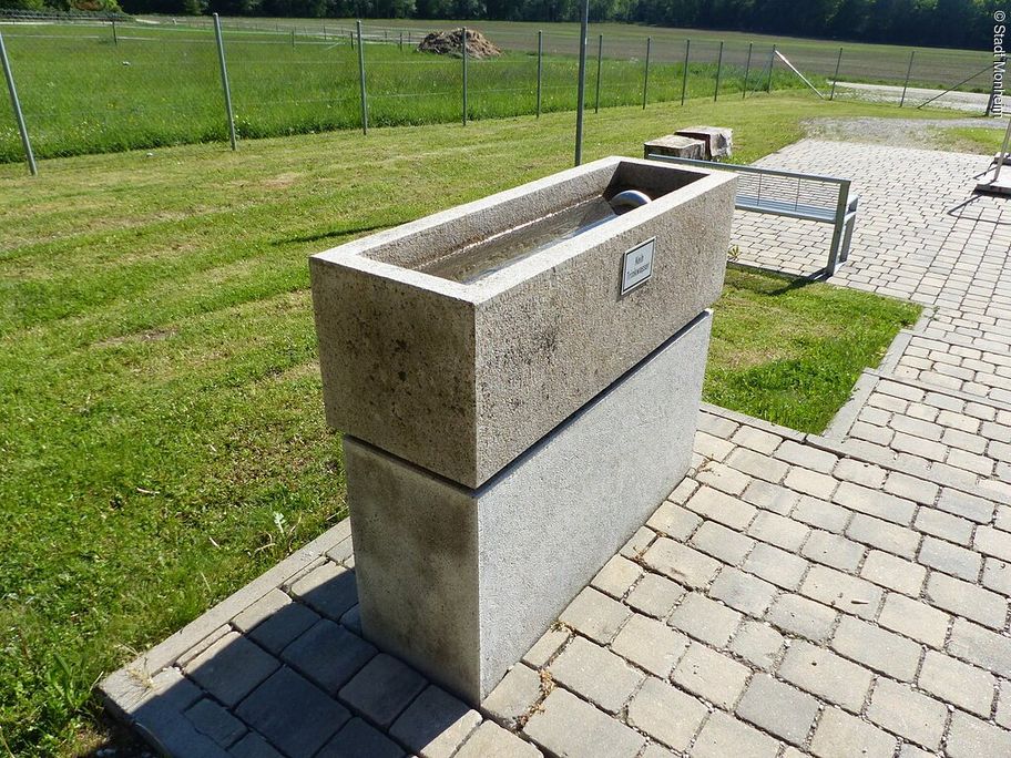 17511461_armbad-1.jpg