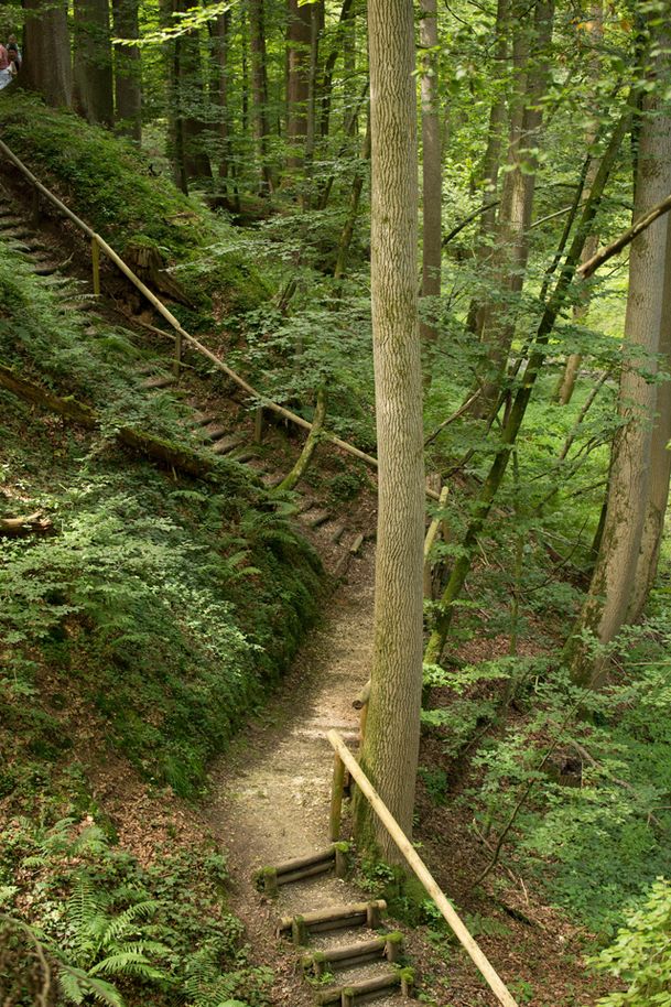 Naturerlebnispfad Hansenhohl