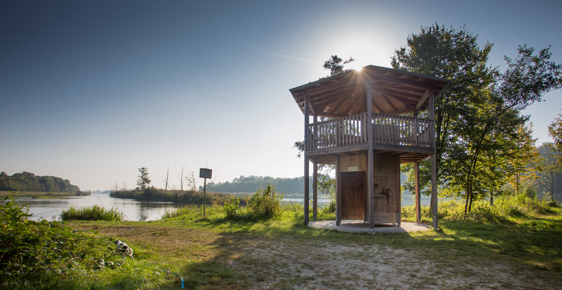 Aussichtsturm Östliche Donauauen Erlingshofen