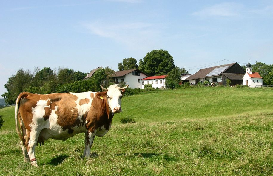 Einzellage Biolandhof