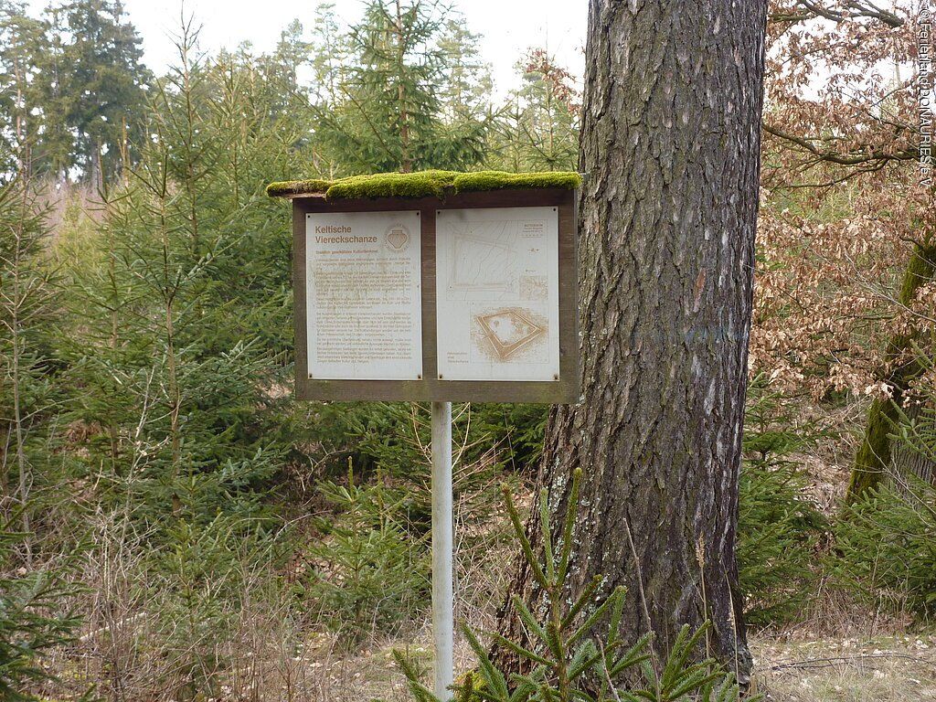 Keltische Viereckschanze