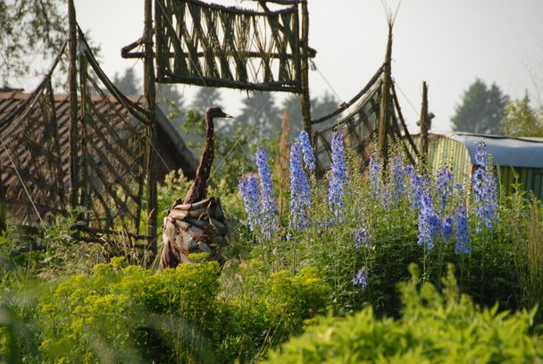 gaissmayer_Delphinium+Vogelstrauss.JPG