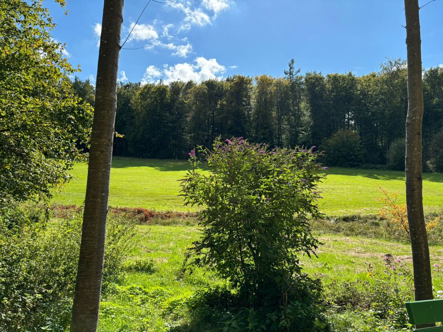 Ausblick Lexenrieder Kapelle