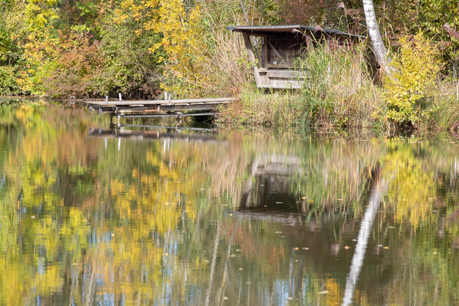 Brühlweiher bei Steinheim