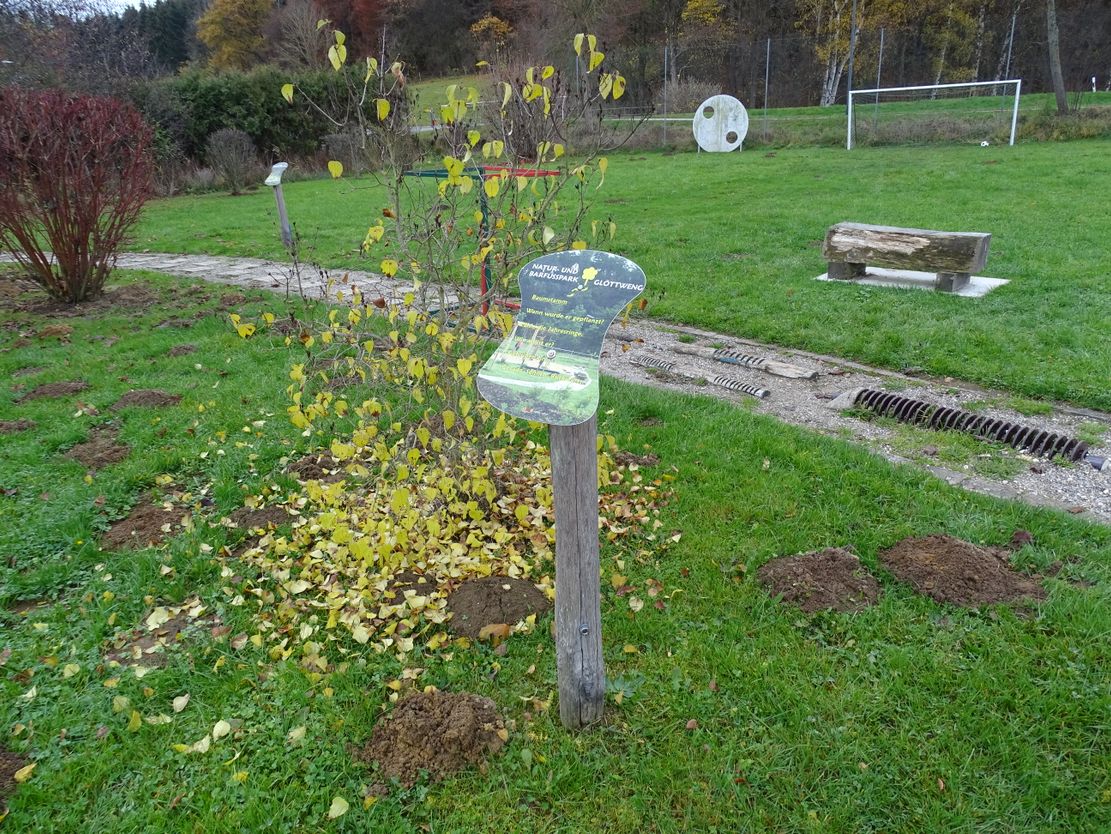 Barfußpark Glöttweng