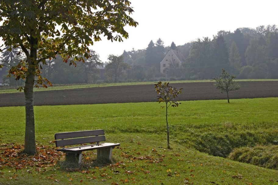 Schloss Neubronn Jauss 2009.jpg