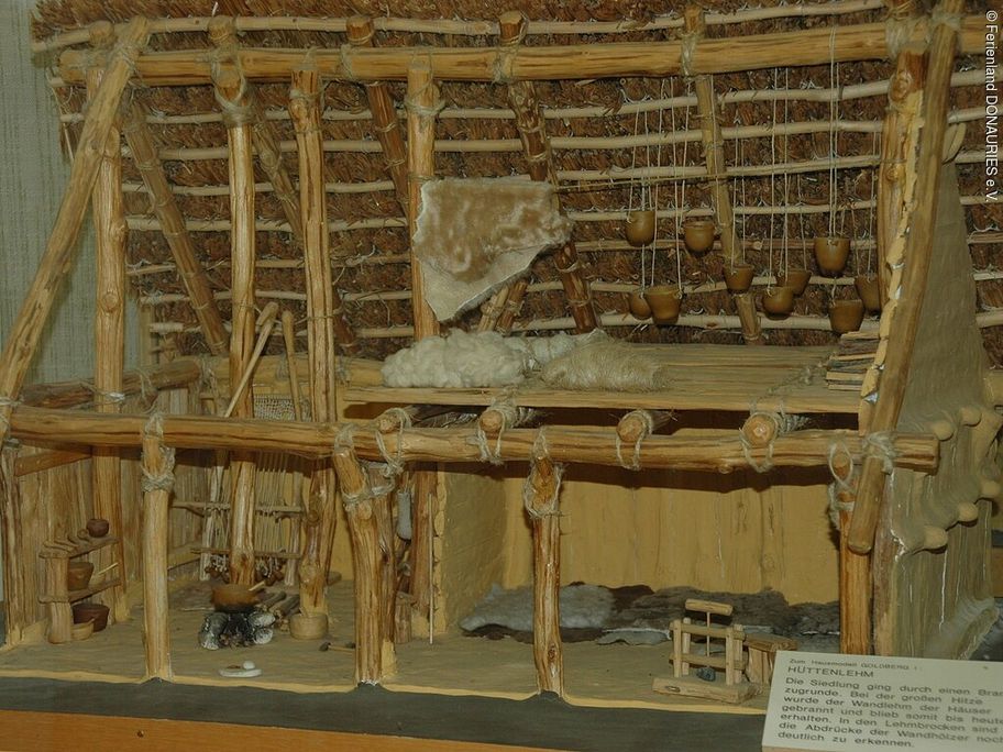 14291763_modell-goldbergmuseum-riesbuerg_1.jpg