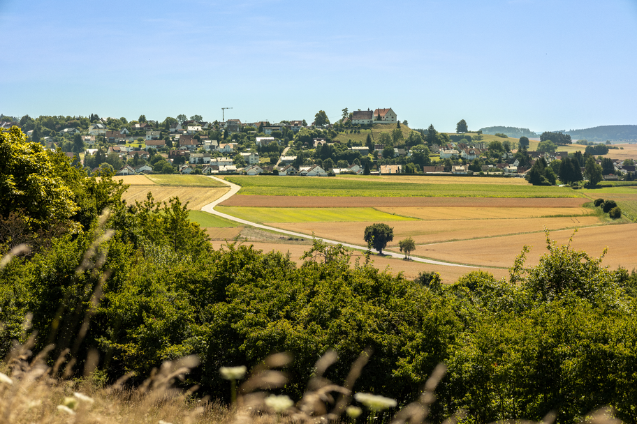 Blick auf Schloss Altenberg