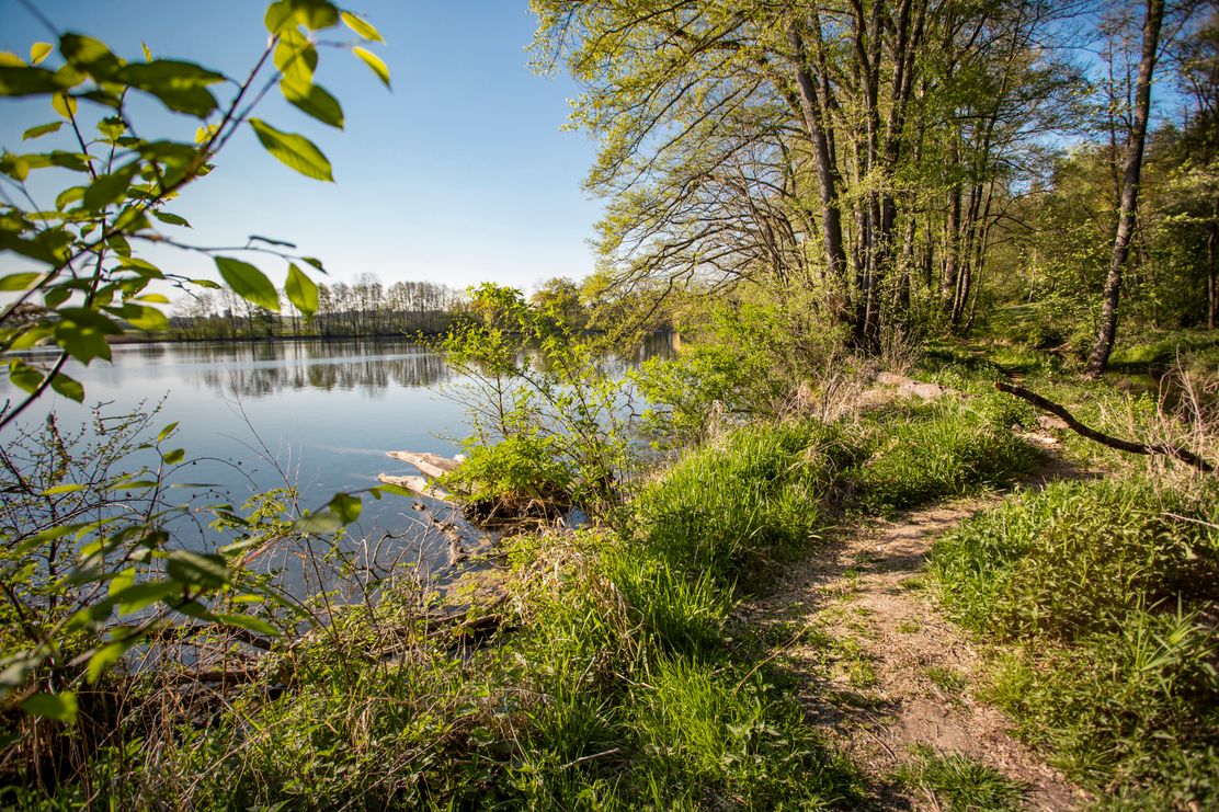 Streifzüge Weiherpfade