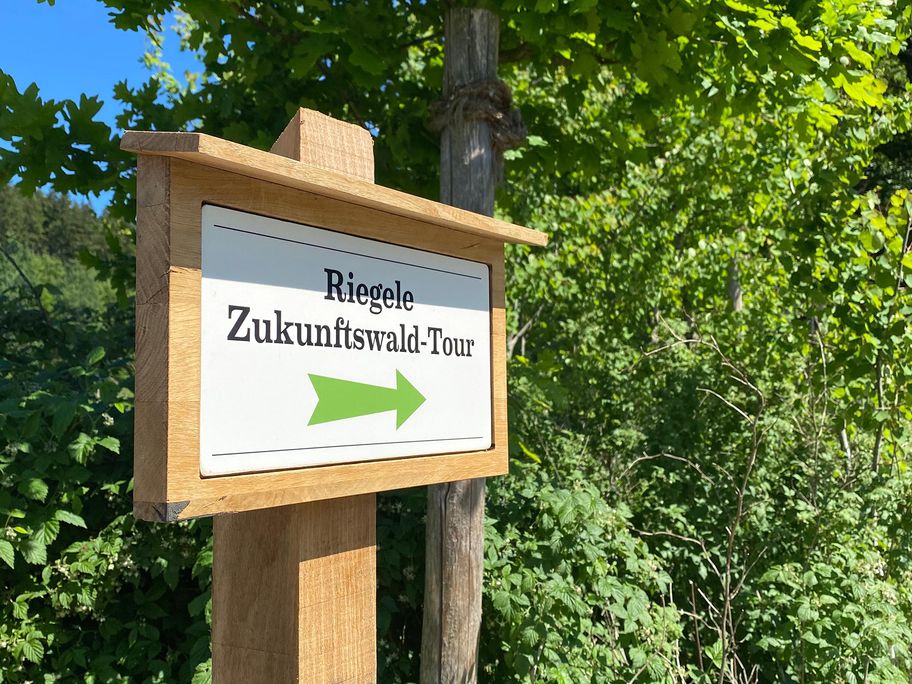 Riegele Zukunftswaldtour.jpg