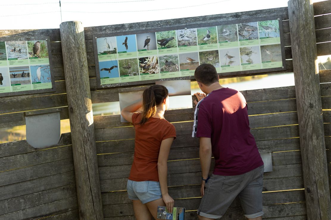 Neu-Ulm_Plessenteich©Heiko-Grandel (6).jpg