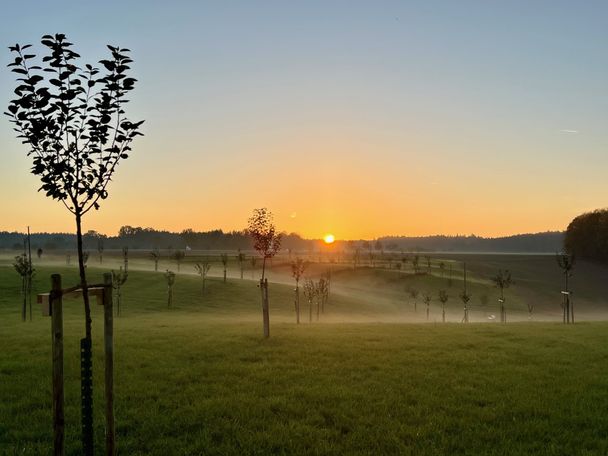Streuobstwiese SternenKinder Wald Biberach