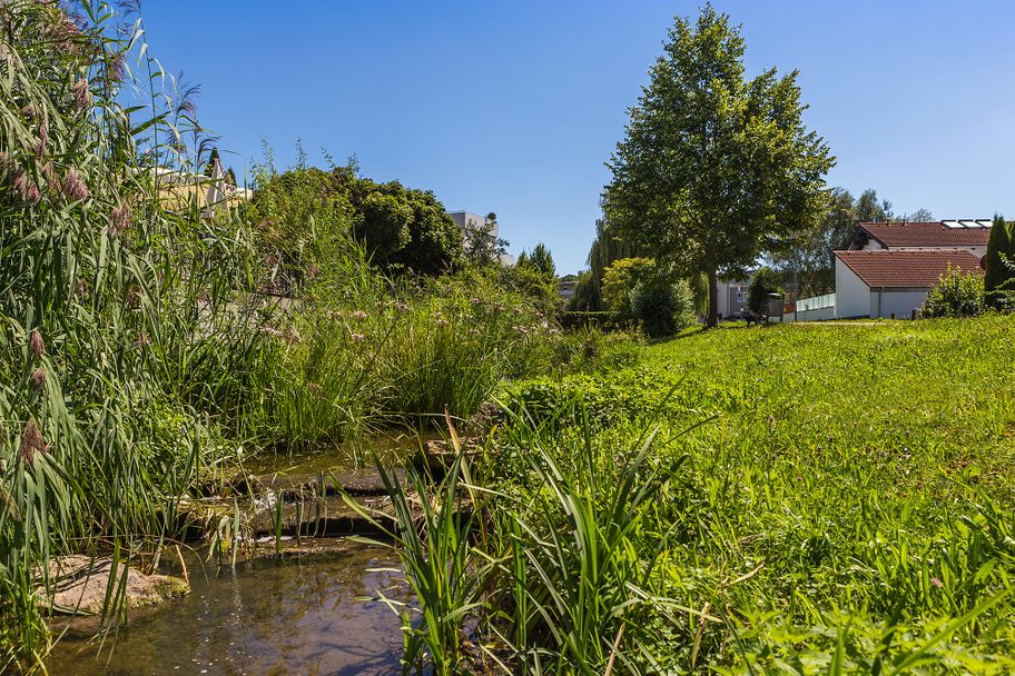 Schaupfad Wasserkraft Günzburg