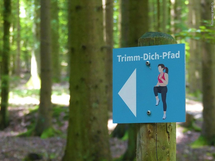 18234761_trimm-dich-pfad-2020_j-strohhofer-1.jpg