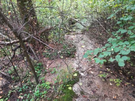 Donautal-Aktiv e.V. - Willer A.