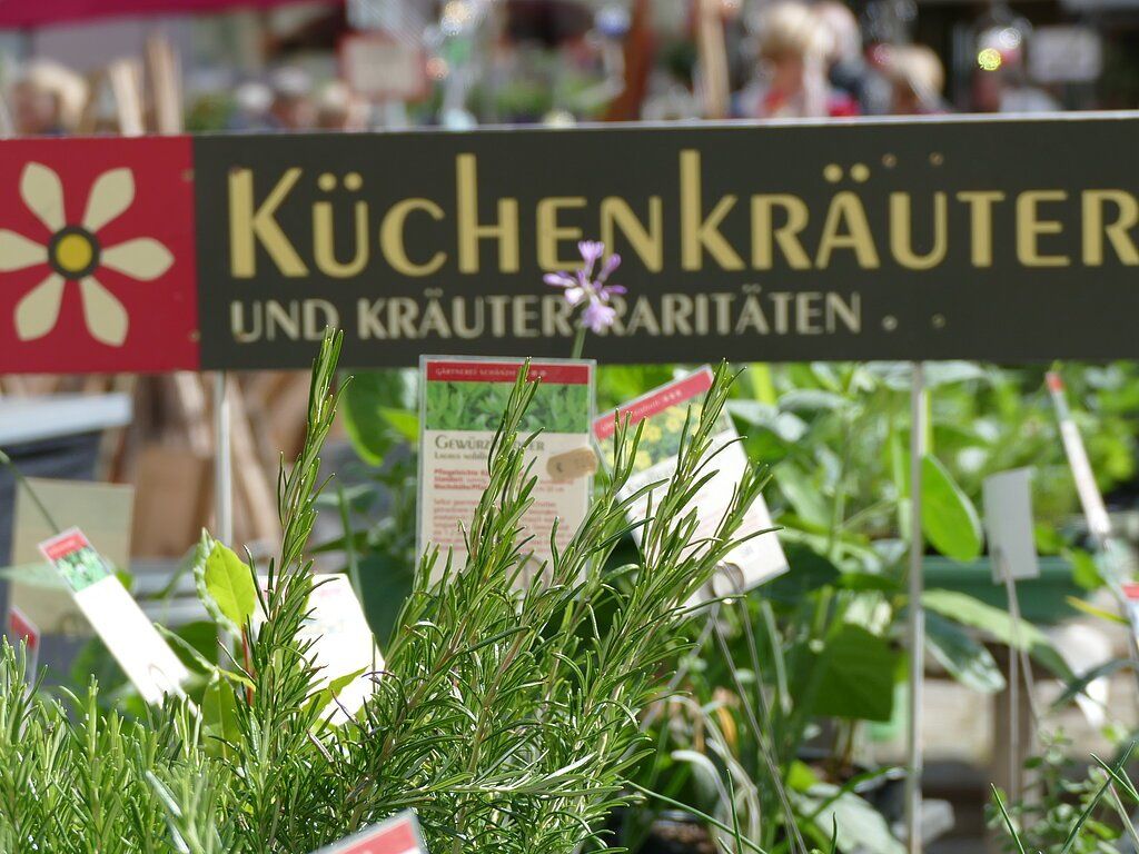 Frauenfrühstück mit Vortrag "Die Pflanzen der Bibel und ihre Heilkraft"