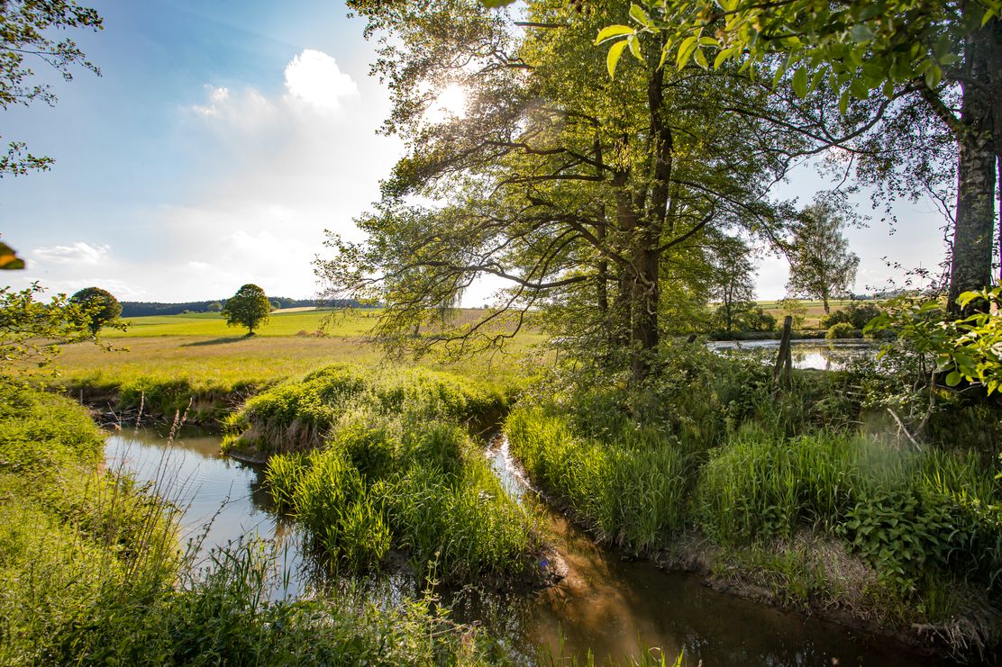 Streifzüge Am schönen Osterbach