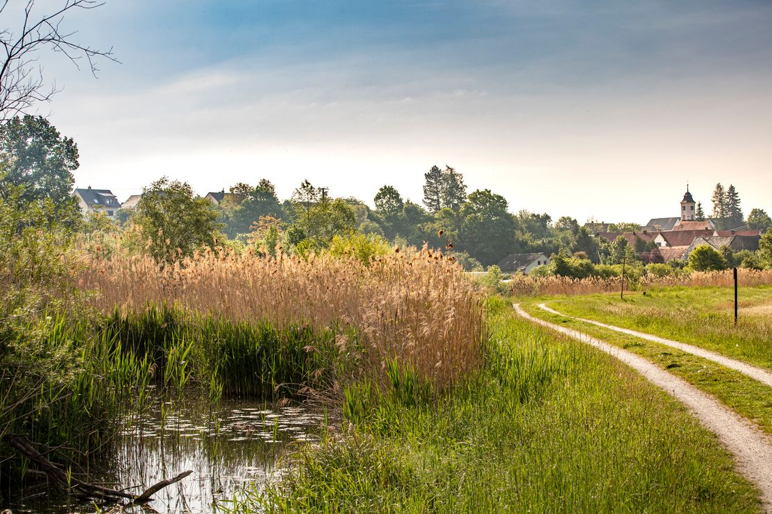 Streifzüge Ellzee Günzstausee