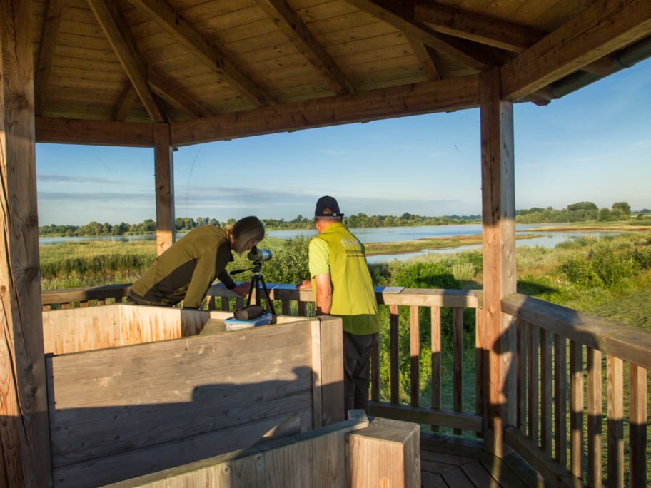 Beobachtungsturm im Gundelfinger Moos