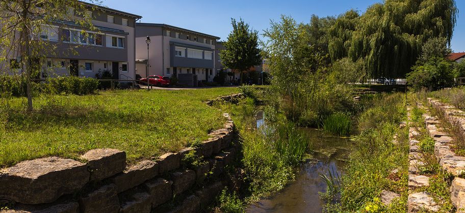 Gewässerpark Günzaue