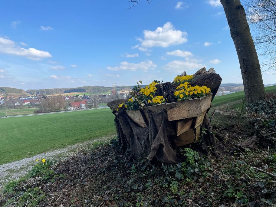 Blick von der Mariengrotte auf Niederraunau.jpg