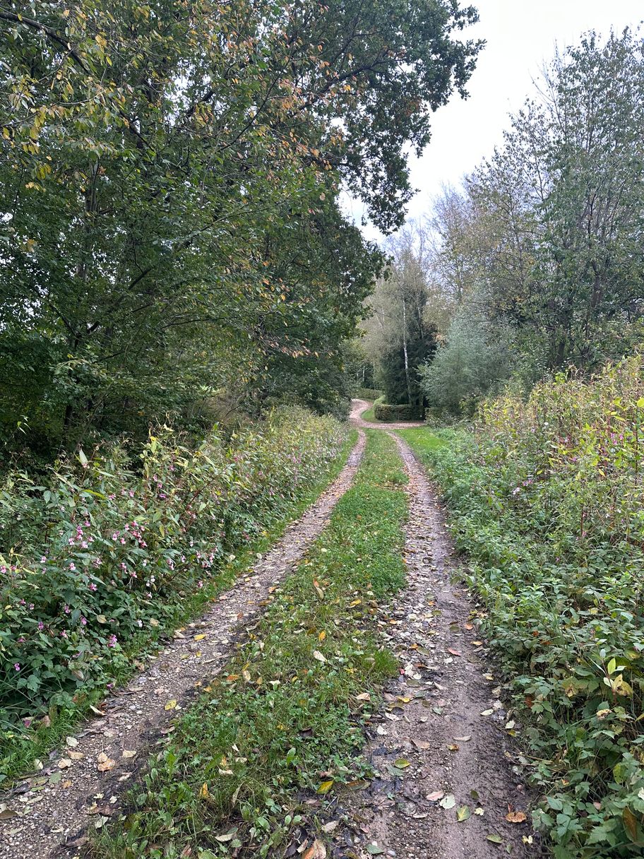 Feldweg nach dem Oberegger Stausee