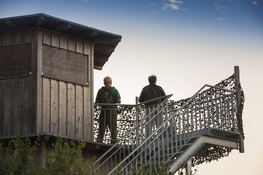 Vogelbeobachtung am Plessenteich in Neu-Ulm