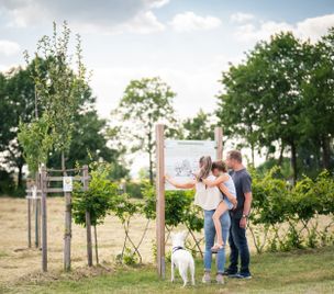 Stadt Wemding, Dietmar Denger