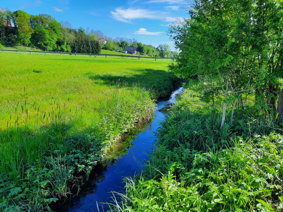 Bachlauf Richtung Mohrenhausen zum Kneippbecken