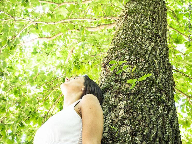 Alltagsauszeit in Wald &amp; Natur
