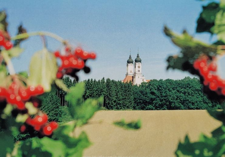 Die Türme von Roggenburg