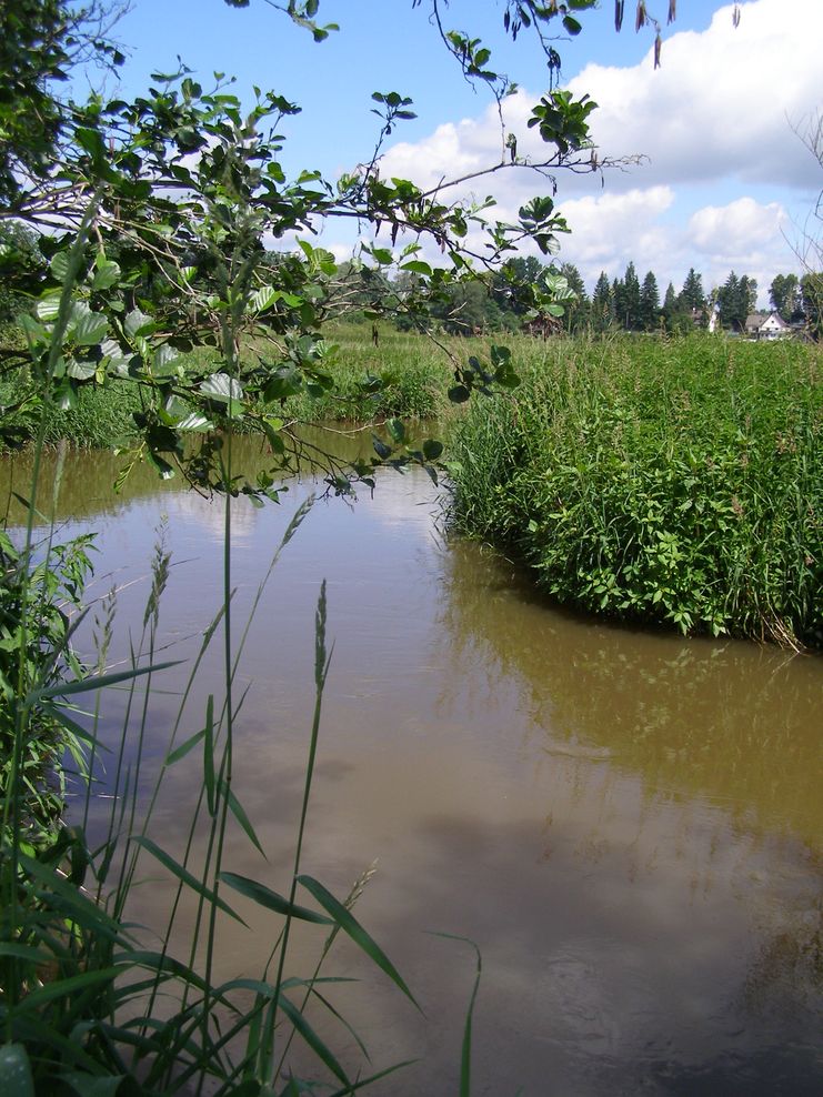 Witaquelle 2