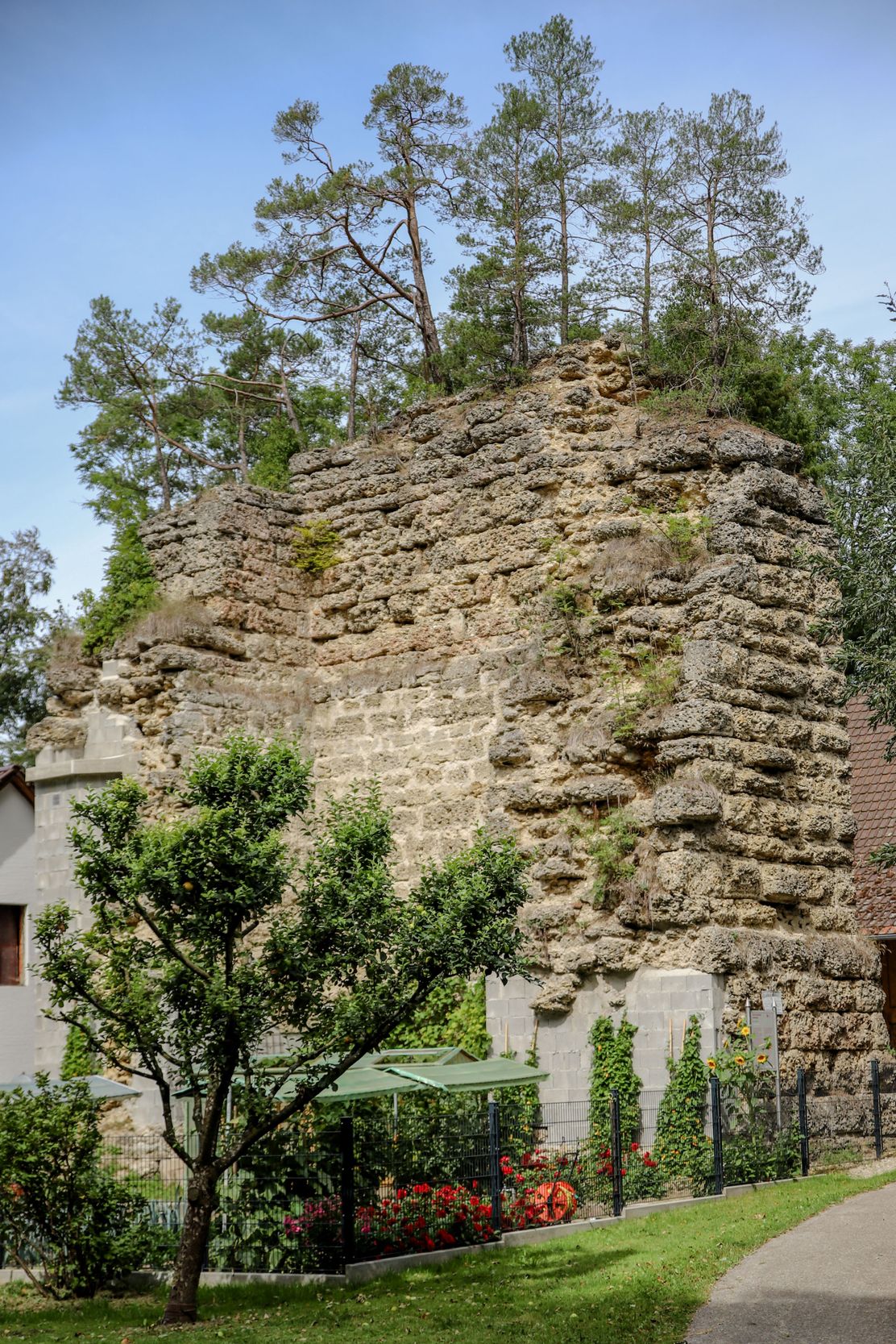 Burg Wolfsberg