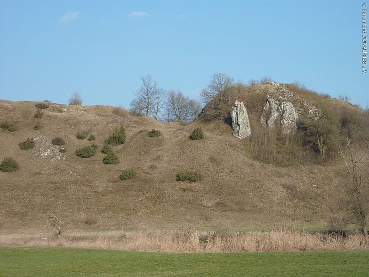 Burg Wellwart
