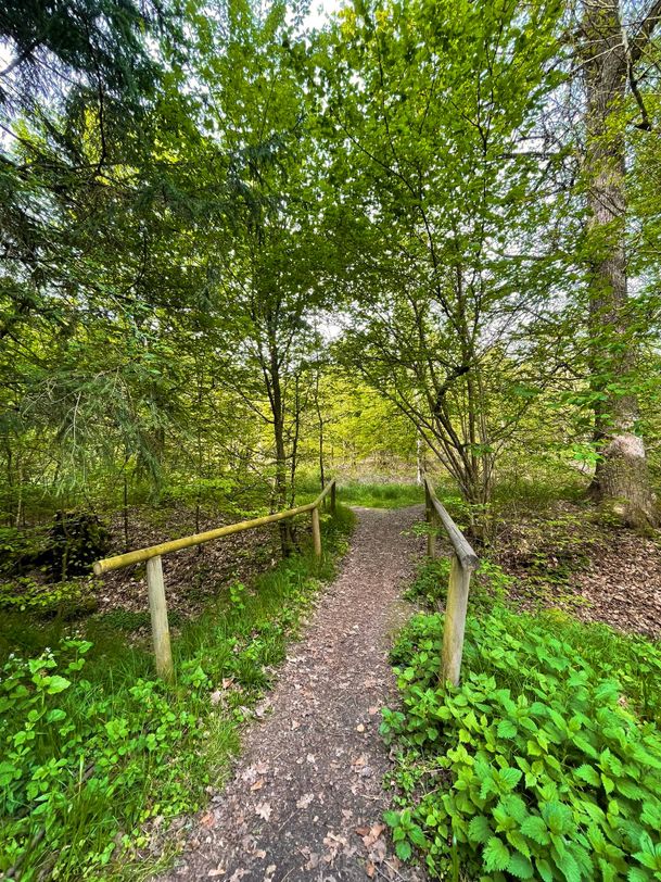 Brücke beim Trampelpfad