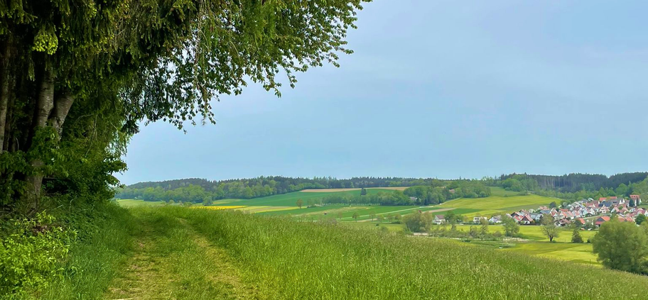 Am Waldrand Richtung Krumbach