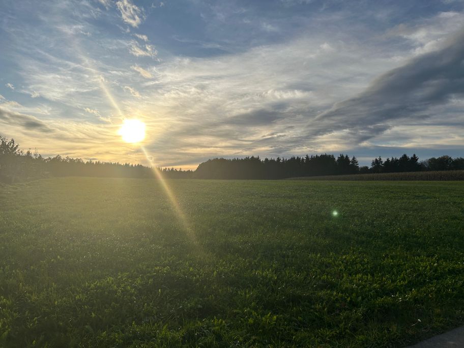 Weg von Bayersried nach Premach