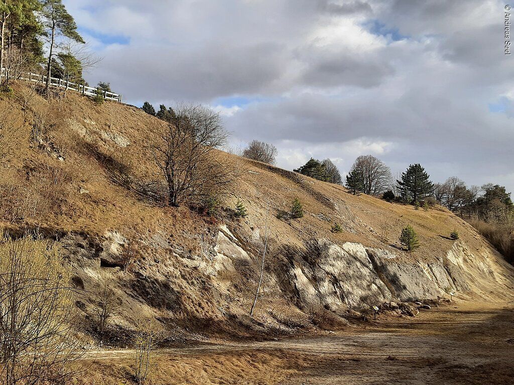 Exkursion am Kalvarienberg Huisheim-Gosheim