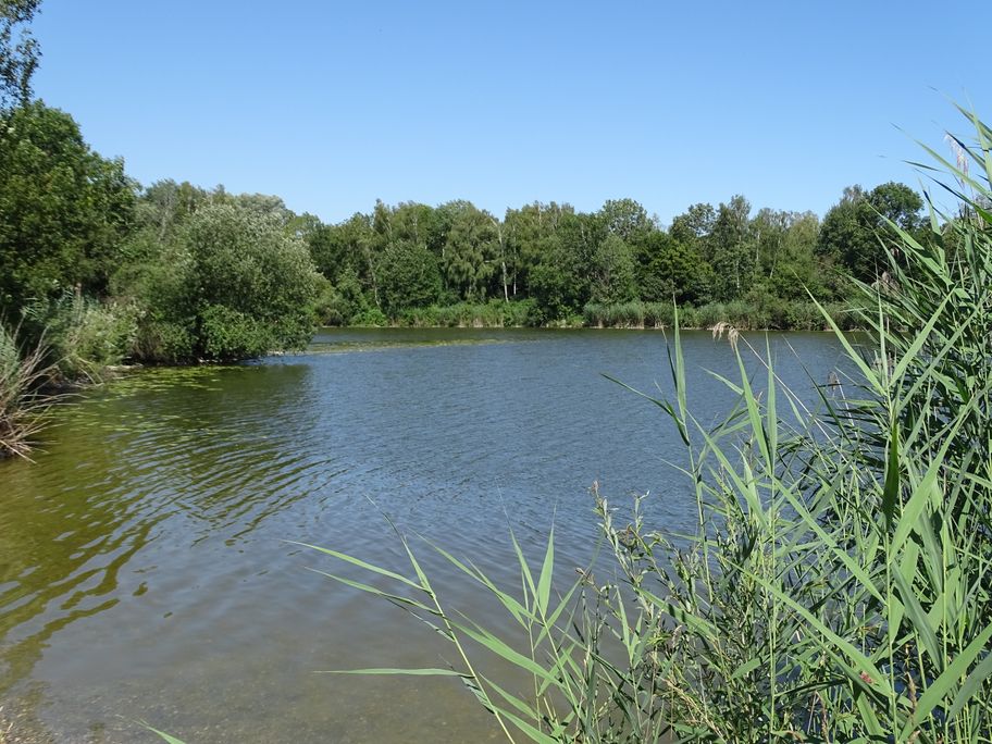 Nödlicher Mooswaldsee Ost