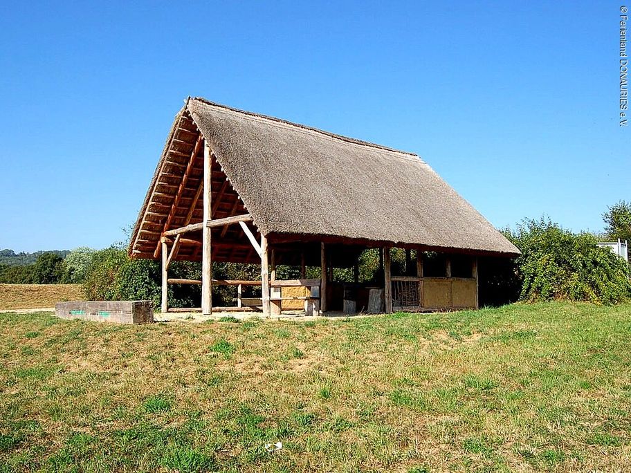 14133403_keltenhaeuschen_bopfingen.jpg