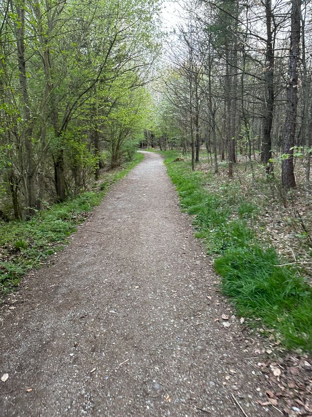 Blick in den Wald am Anfang der Tour